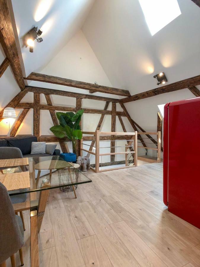 Beauty & The Beast - Old Town Cosy Apartments Colmar Eksteriør billede