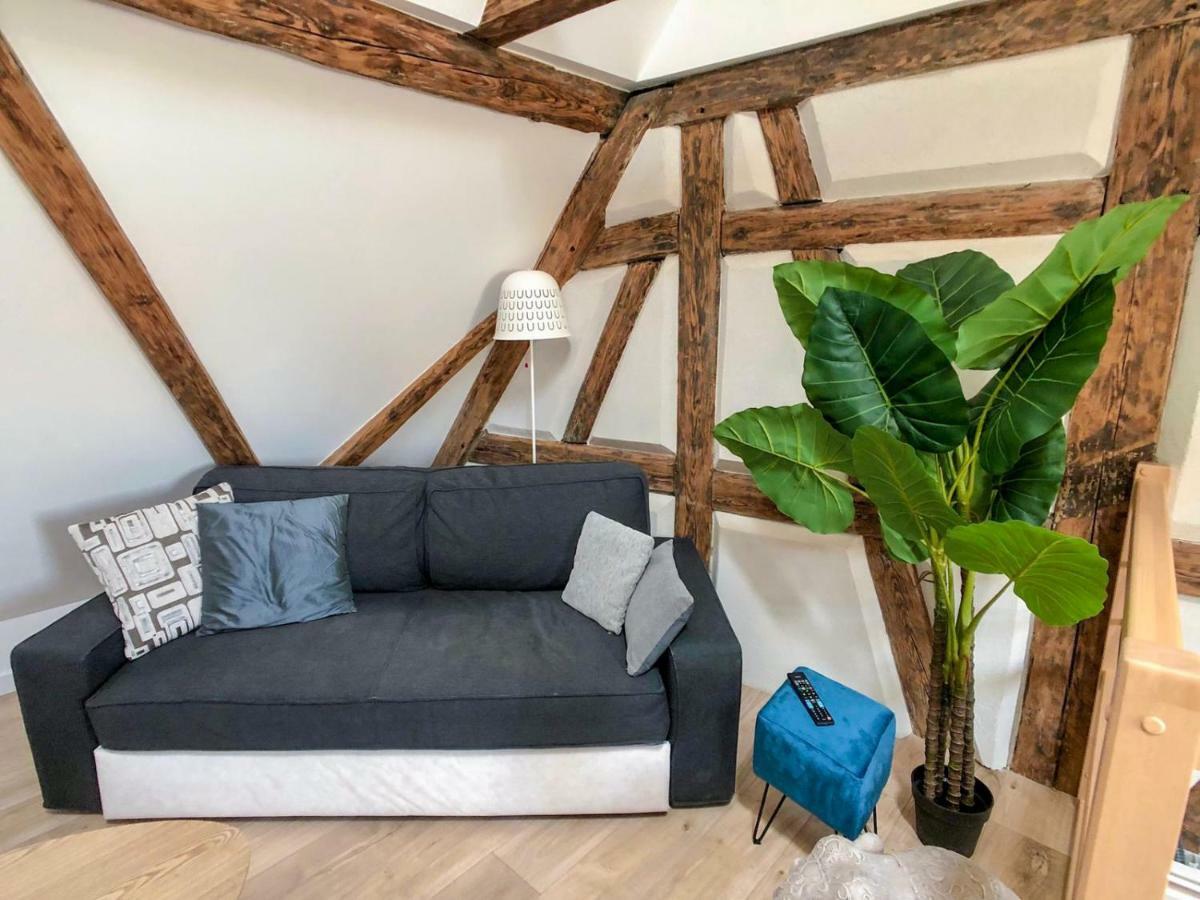 Beauty & The Beast - Old Town Cosy Apartments Colmar Eksteriør billede