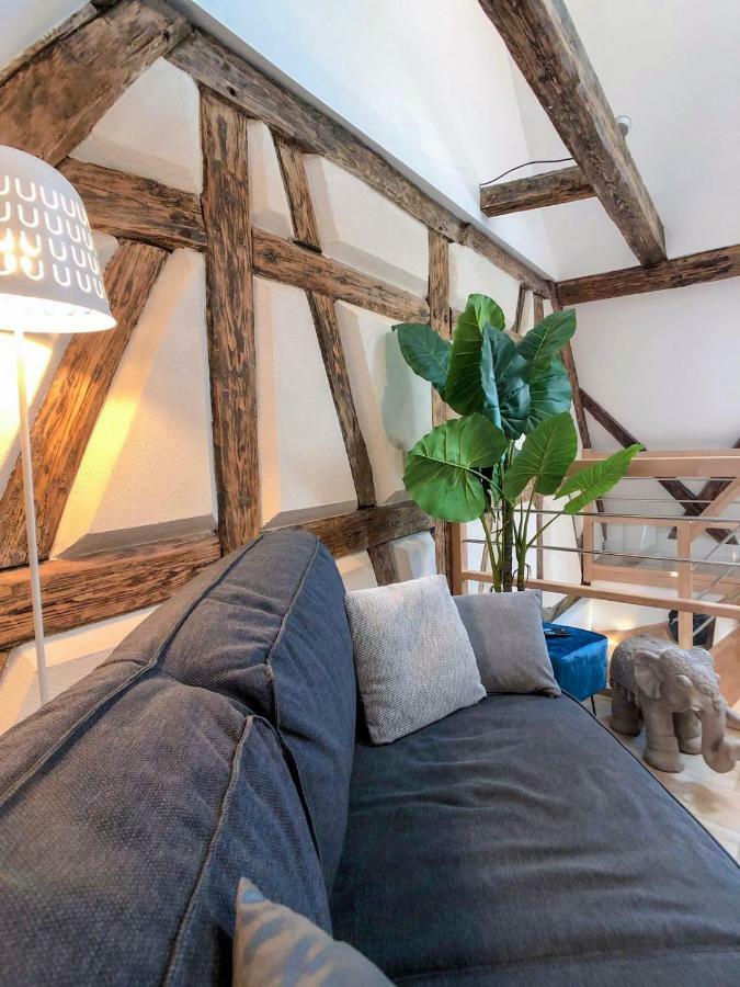 Beauty & The Beast - Old Town Cosy Apartments Colmar Eksteriør billede