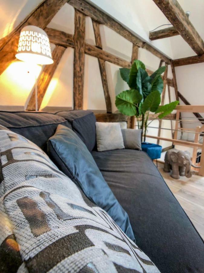 Beauty & The Beast - Old Town Cosy Apartments Colmar Eksteriør billede